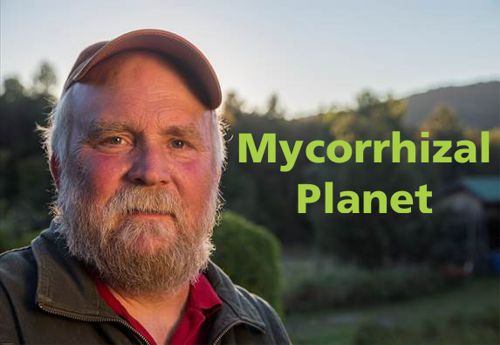 Mycorrhizal Planet: How Fungi and Plants Work Together to Create Dynamic Soils by Michael Phillips